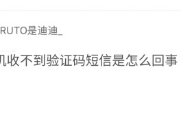 免费临时短信验证码接收失败怎么办理呢的简单介绍