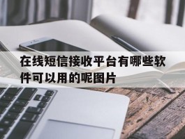 在线短信接收平台有哪些软件可以用的呢图片