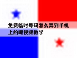 包含免费临时号码怎么弄到手机上的呢视频教学的词条