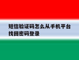 短信验证码怎么从手机平台找回密码登录