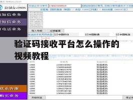 验证码接收平台怎么操作的视频教程
