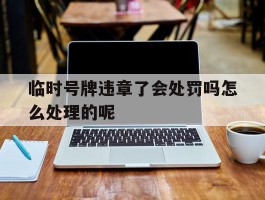 临时号牌违章了会处罚吗怎么处理的呢