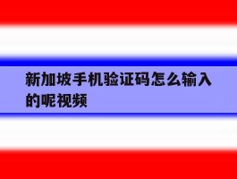 新加坡手机验证码怎么输入的呢视频