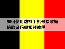 关于如何使用虚拟手机号接收短信验证码呢视频教程的信息