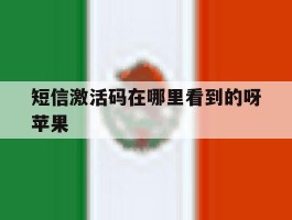 短信激活码在哪里看到的呀苹果
