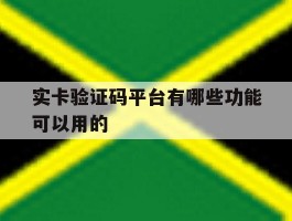 实卡验证码平台有哪些功能可以用的