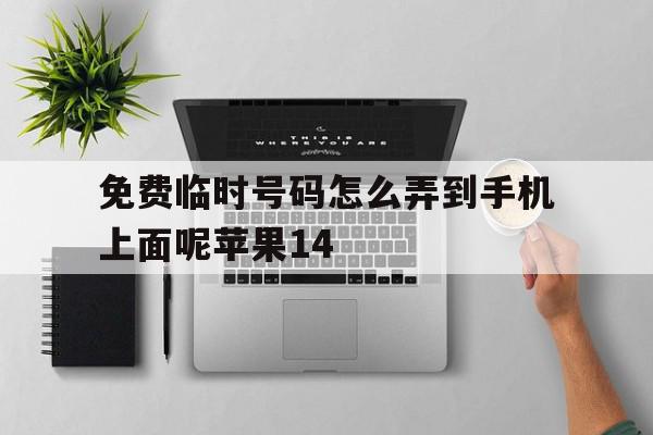 关于免费临时号码怎么弄到手机上面呢苹果14的信息 关于免费临时号码怎么弄到手机上面呢苹果14的信息