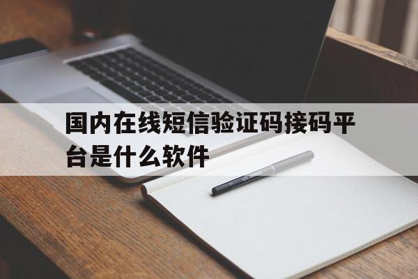 国内在线短信验证码接码平台是什么软件 国内在线短信验证码接码平台是什么软件