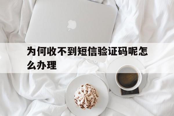为何收不到短信验证码呢怎么办理 为何收不到短信验证码呢怎么办理