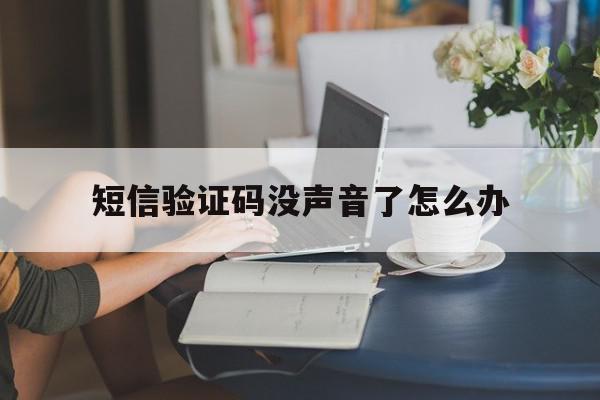 短信验证码没声音了怎么办 短信验证码没声音了怎么办