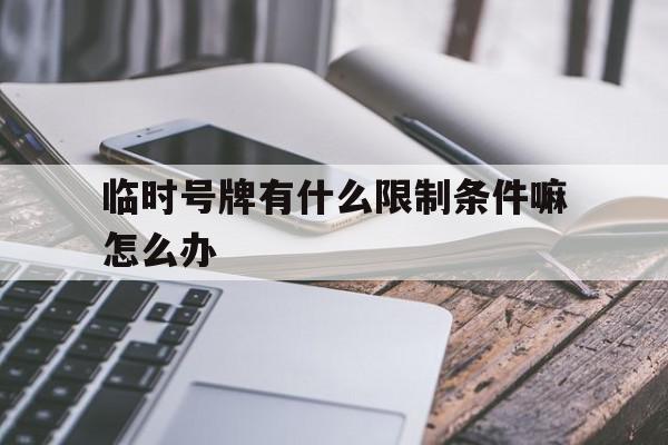 临时号牌有什么限制条件嘛怎么办 临时号牌有什么限制条件嘛怎么办