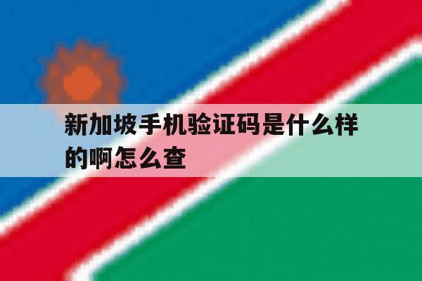 新加坡手机验证码是什么样的啊怎么查 新加坡手机验证码是什么样的啊怎么查