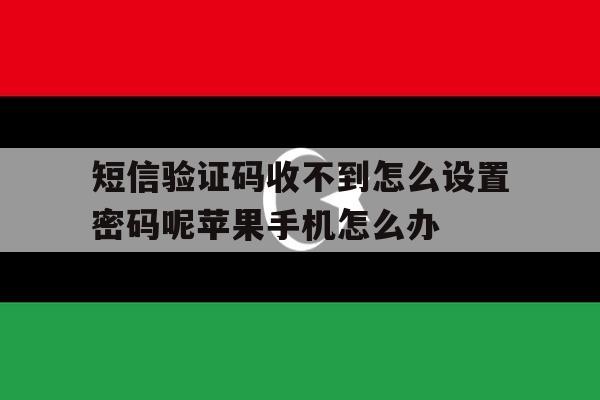短信验证码收不到怎么设置密码呢苹果手机怎么办的简单介绍 短信验证码收不到怎么设置密码呢苹果手机怎么办的简单介绍