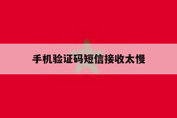 手机验证码短信接收太慢 手机验证码短信接收太慢