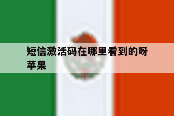 短信激活码在哪里看到的呀苹果 短信激活码在哪里看到的呀苹果