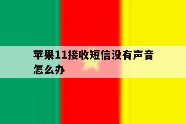 苹果11接收短信没有声音怎么办 苹果11接收短信没有声音怎么办