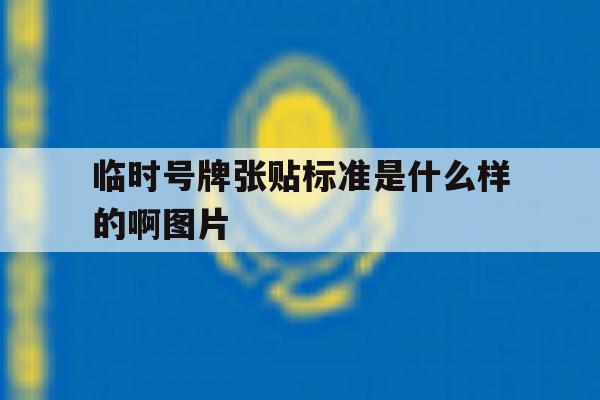 临时号牌张贴标准是什么样的啊图片 临时号牌张贴标准是什么样的啊图片