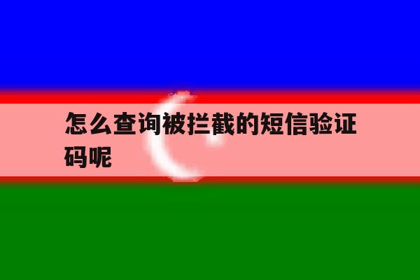 怎么查询被拦截的短信验证码呢 怎么查询被拦截的短信验证码呢