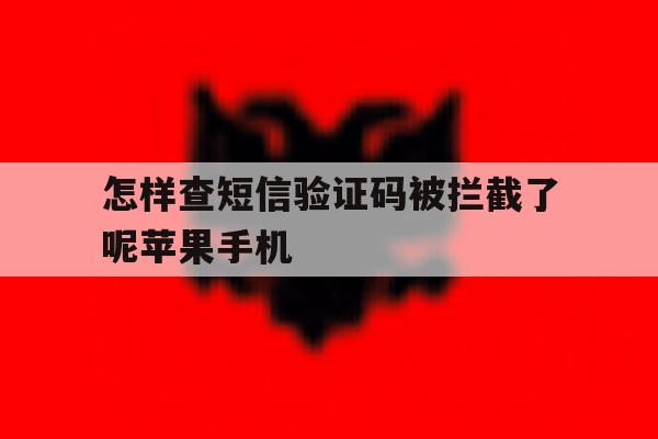怎样查短信验证码被拦截了呢苹果手机 怎样查短信验证码被拦截了呢苹果手机