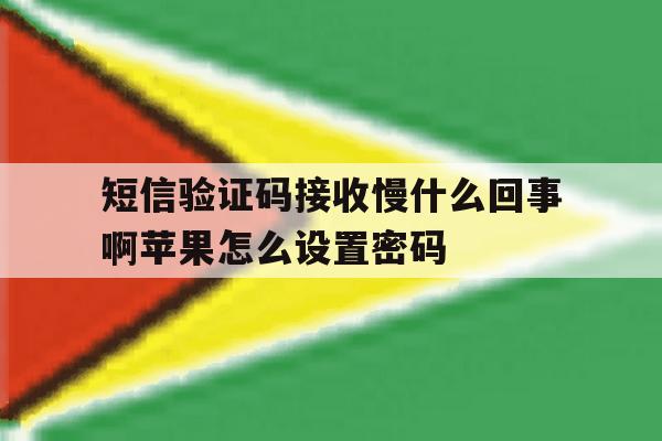 包含短信验证码接收慢什么回事啊苹果怎么设置密码的词条 包含短信验证码接收慢什么回事啊苹果怎么设置密码的词条