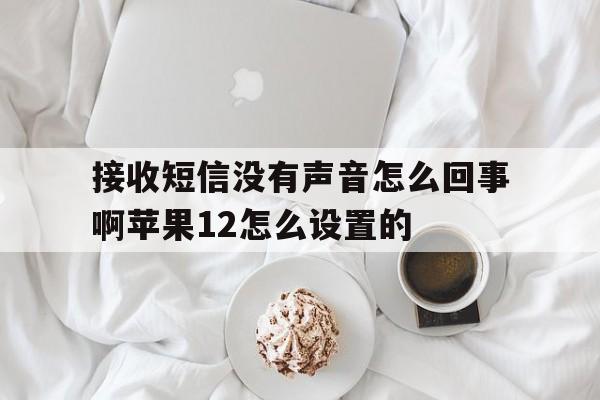 接收短信没有声音怎么回事啊苹果12怎么设置的 接收短信没有声音怎么回事啊苹果12怎么设置的