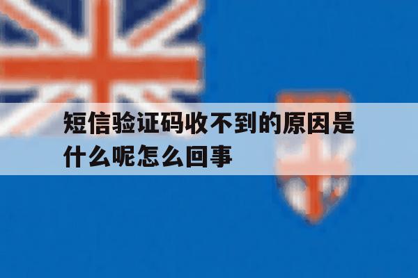 短信验证码收不到的原因是什么呢怎么回事 短信验证码收不到的原因是什么呢怎么回事