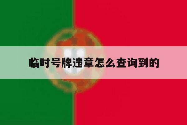 临时号牌违章怎么查询到的 临时号牌违章怎么查询到的