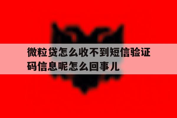 微粒贷怎么收不到短信验证码信息呢怎么回事儿的简单介绍 微粒贷怎么收不到短信验证码信息呢怎么回事儿的简单介绍