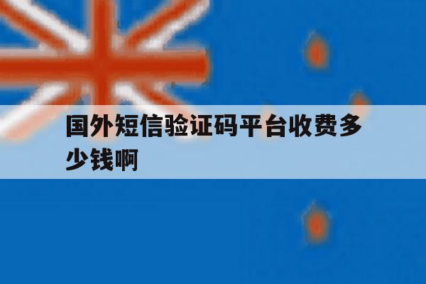 国外短信验证码平台收费多少钱啊 国外短信验证码平台收费多少钱啊