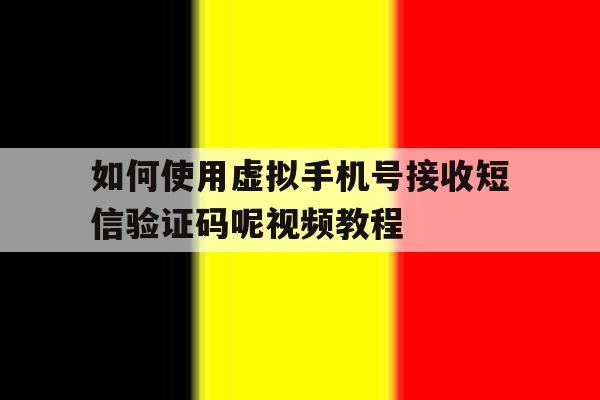 关于如何使用虚拟手机号接收短信验证码呢视频教程的信息 关于如何使用虚拟手机号接收短信验证码呢视频教程的信息