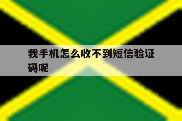 我手机怎么收不到短信验证码呢 我手机怎么收不到短信验证码呢