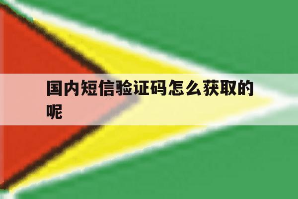 国内短信验证码怎么获取的呢 国内短信验证码怎么获取的呢