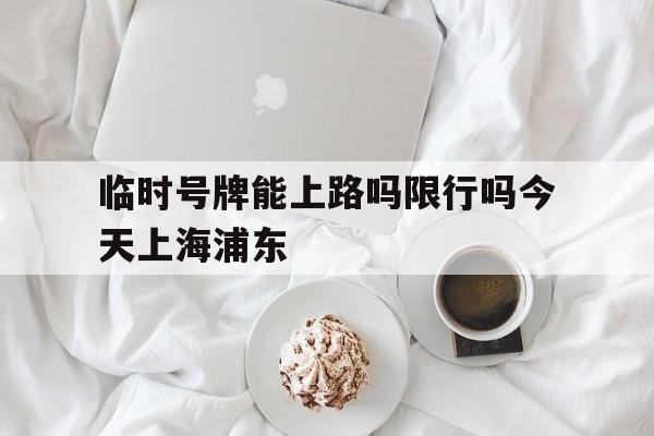临时号牌能上路吗限行吗今天上海浦东 临时号牌能上路吗限行吗今天上海浦东