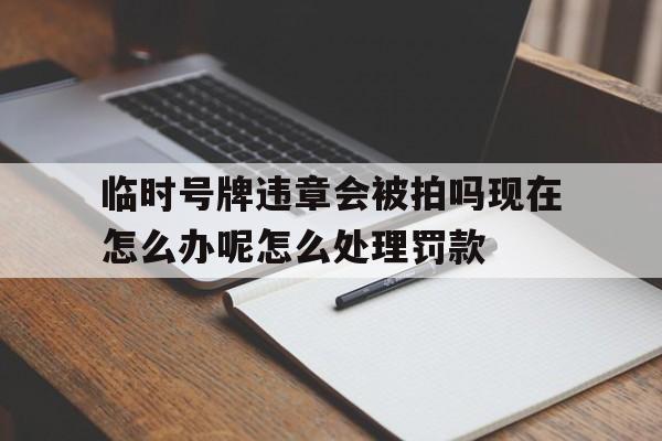 临时号牌违章会被拍吗现在怎么办呢怎么处理罚款的简单介绍 临时号牌违章会被拍吗现在怎么办呢怎么处理罚款的简单介绍