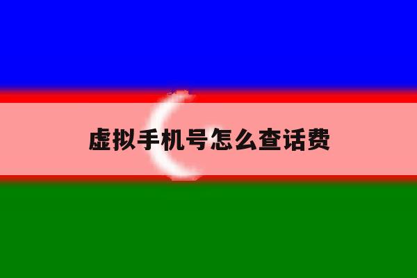 虚拟手机号怎么查话费 虚拟手机号怎么查话费