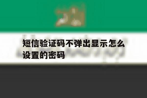 短信验证码不弹出显示怎么设置的密码 短信验证码不弹出显示怎么设置的密码