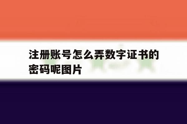 注册账号怎么弄数字证书的密码呢图片 注册账号怎么弄数字证书的密码呢图片