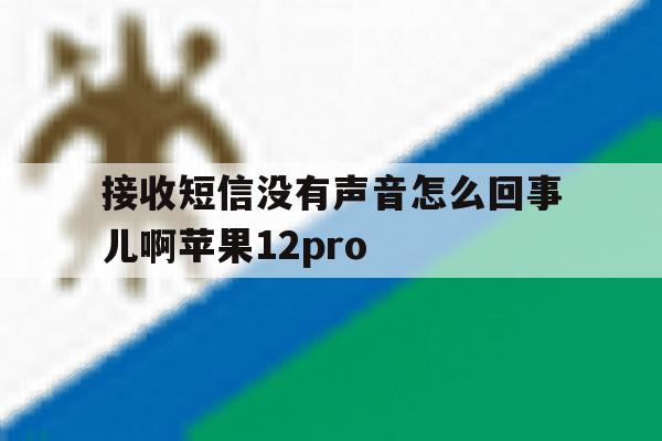 包含接收短信没有声音怎么回事儿啊苹果12pro的词条 包含接收短信没有声音怎么回事儿啊苹果12pro的词条