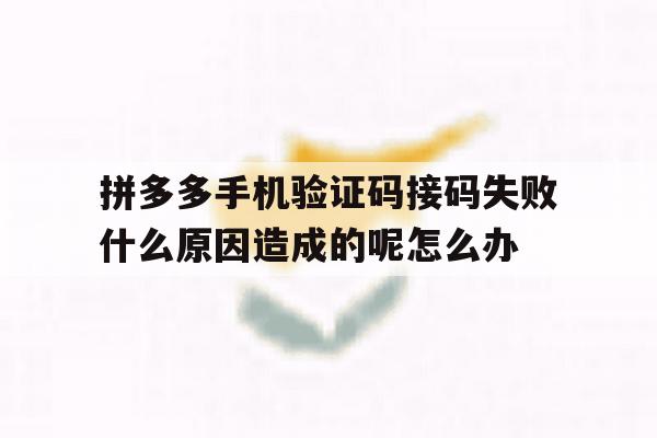 拼多多手机验证码接码失败什么原因造成的呢怎么办的简单介绍 拼多多手机验证码接码失败什么原因造成的呢怎么办的简单介绍