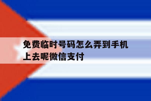 免费临时号码怎么弄到手机上去呢微信支付 免费临时号码怎么弄到手机上去呢微信支付