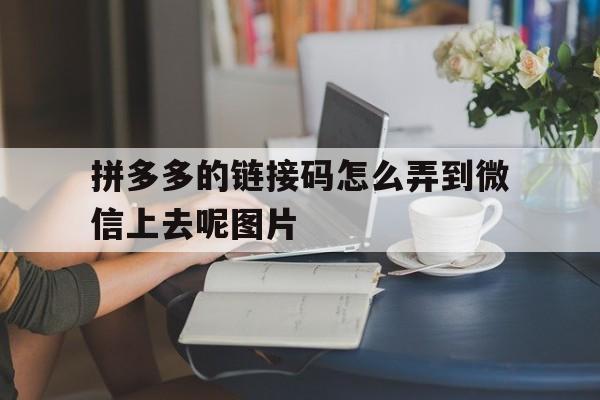 关于拼多多的链接码怎么弄到微信上去呢图片的信息 关于拼多多的链接码怎么弄到微信上去呢图片的信息