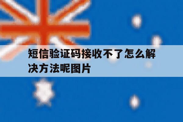 短信验证码接收不了怎么解决方法呢图片 短信验证码接收不了怎么解决方法呢图片