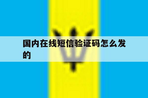 国内在线短信验证码怎么发的 国内在线短信验证码怎么发的