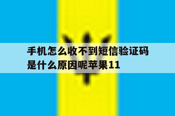 手机怎么收不到短信验证码是什么原因呢苹果11的简单介绍 手机怎么收不到短信验证码是什么原因呢苹果11的简单介绍