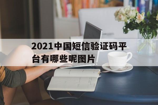 2021中国短信验证码平台有哪些呢图片 2021中国短信验证码平台有哪些呢图片