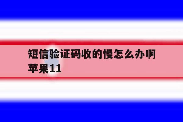 短信验证码收的慢怎么办啊苹果11 短信验证码收的慢怎么办啊苹果11