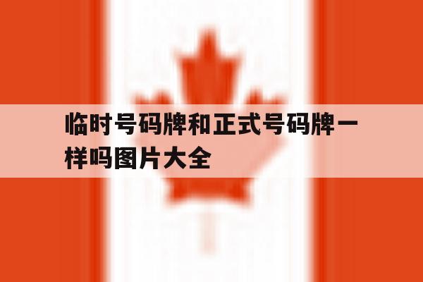 临时号码牌和正式号码牌一样吗图片大全 临时号码牌和正式号码牌一样吗图片大全
