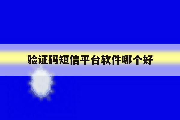 验证码短信平台软件哪个好 验证码短信平台软件哪个好
