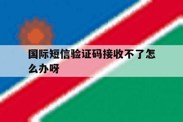 国际短信验证码接收不了怎么办呀 国际短信验证码接收不了怎么办呀