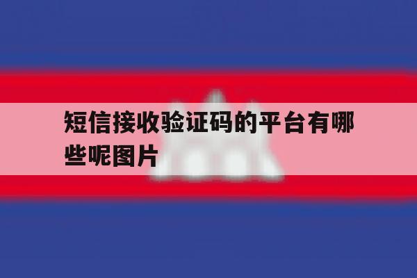 短信接收验证码的平台有哪些呢图片 短信接收验证码的平台有哪些呢图片